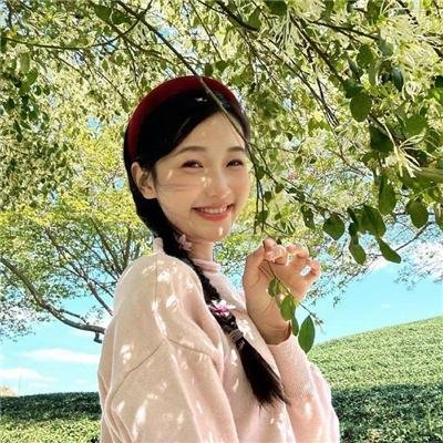 哈妮拉警报