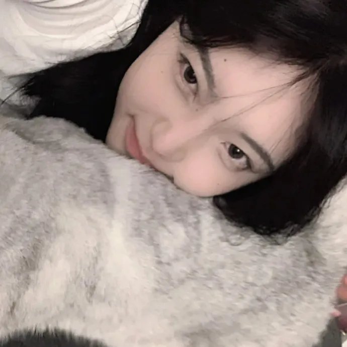 木材宝藏狗